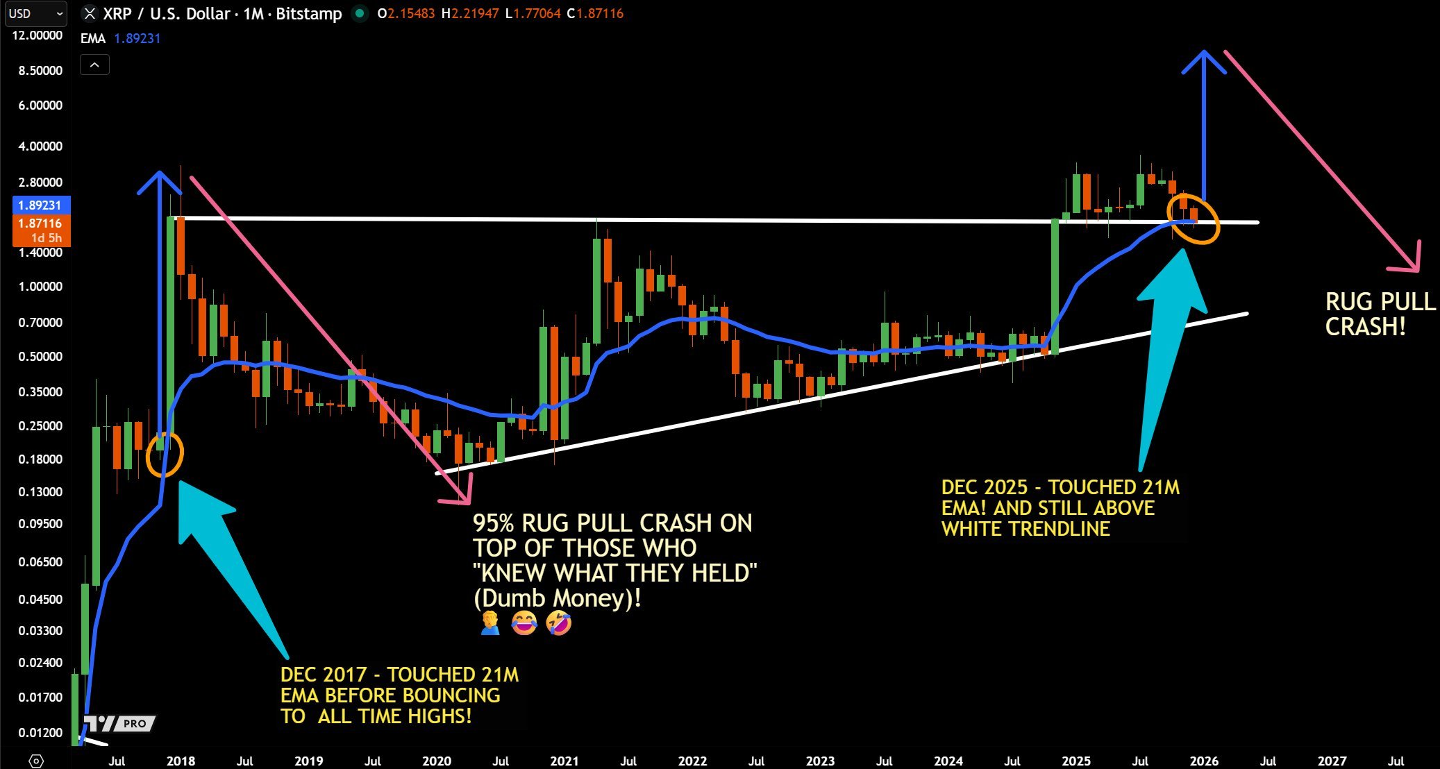 XRP Prediction