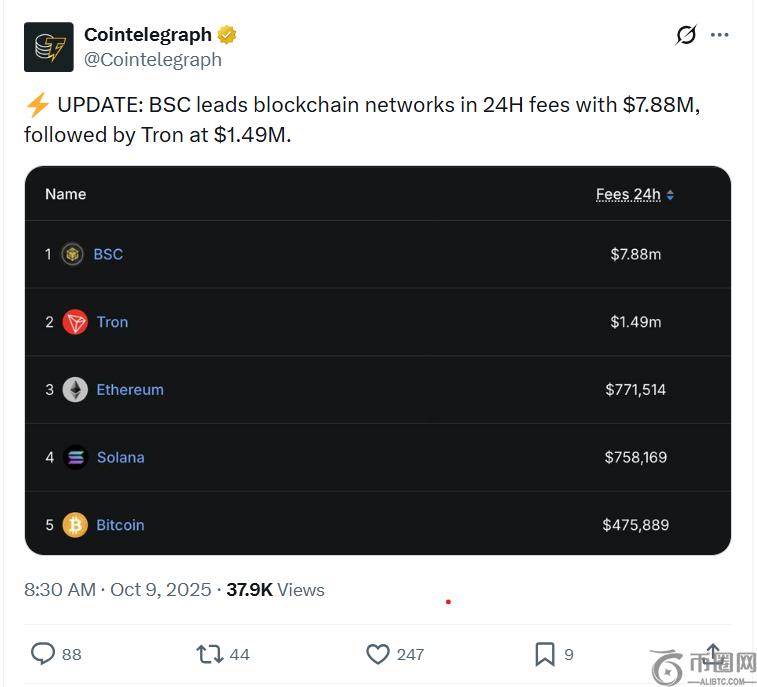 BNB Chain交易分布图