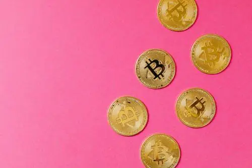 BlockchainFX平台架构