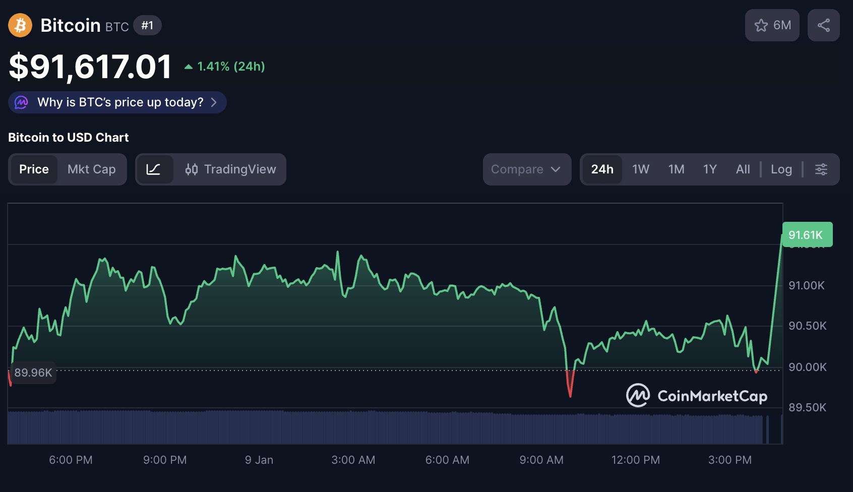 Bitcoin Daily Price chart | CoinMarketCap