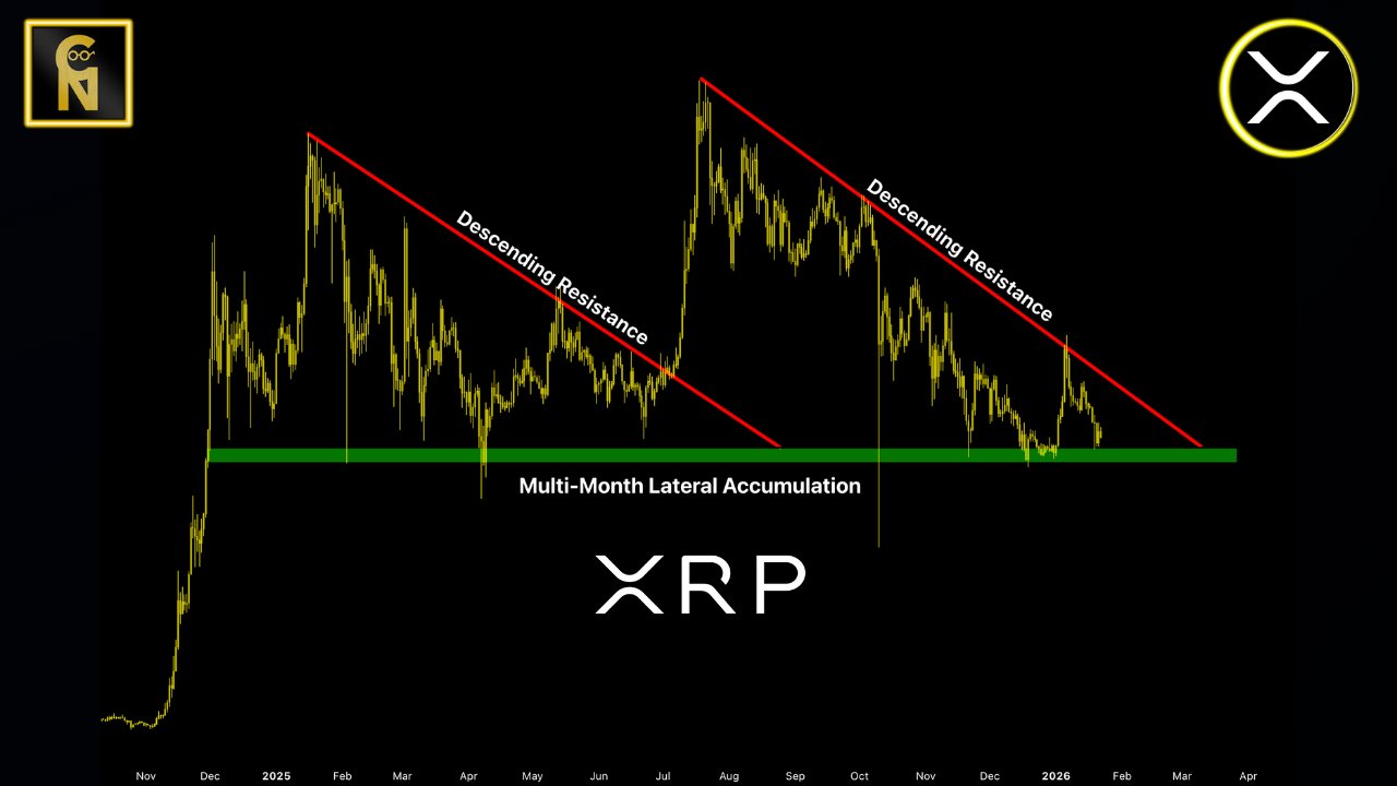 XRP 1D Chart Chart Nerd